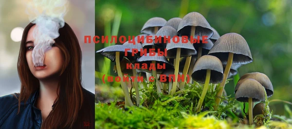 гидропоника Абаза