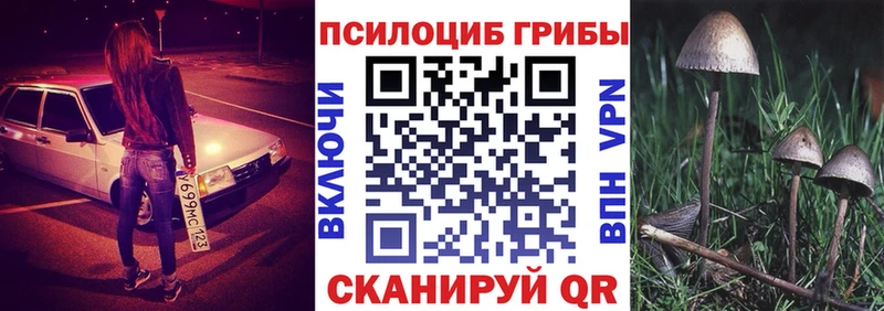 Галлюциногенные грибы мухоморы  Ессентукская 