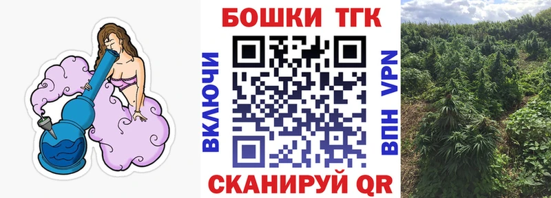 наркотики  ссылка на мегу ссылка  МАРИХУАНА семена  Ессентукская 